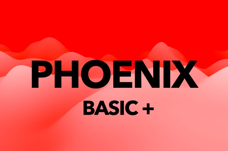 waii power Application PHOENIX basic,Regeneration,Stabilisierung  ,Körperbewusstsein     ,unterstützende Körperfunktionen